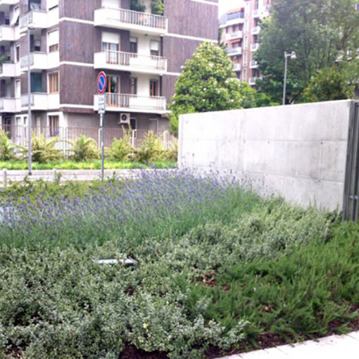 Perliroof giardino pensile intensivo con arbusti - complesso residenziale Milano
