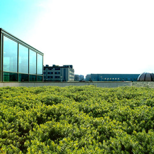 Copertura a verde intensivo Perliroof con piccoli arbusti - centro direzionale - Milano