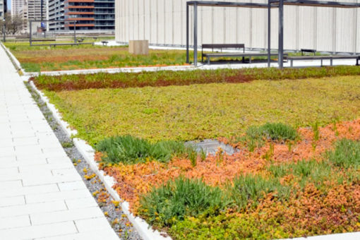 tetto giardino estensivo - vegetazione a sedum e crassulacee - copertura con integrazione di percorsi pedonali