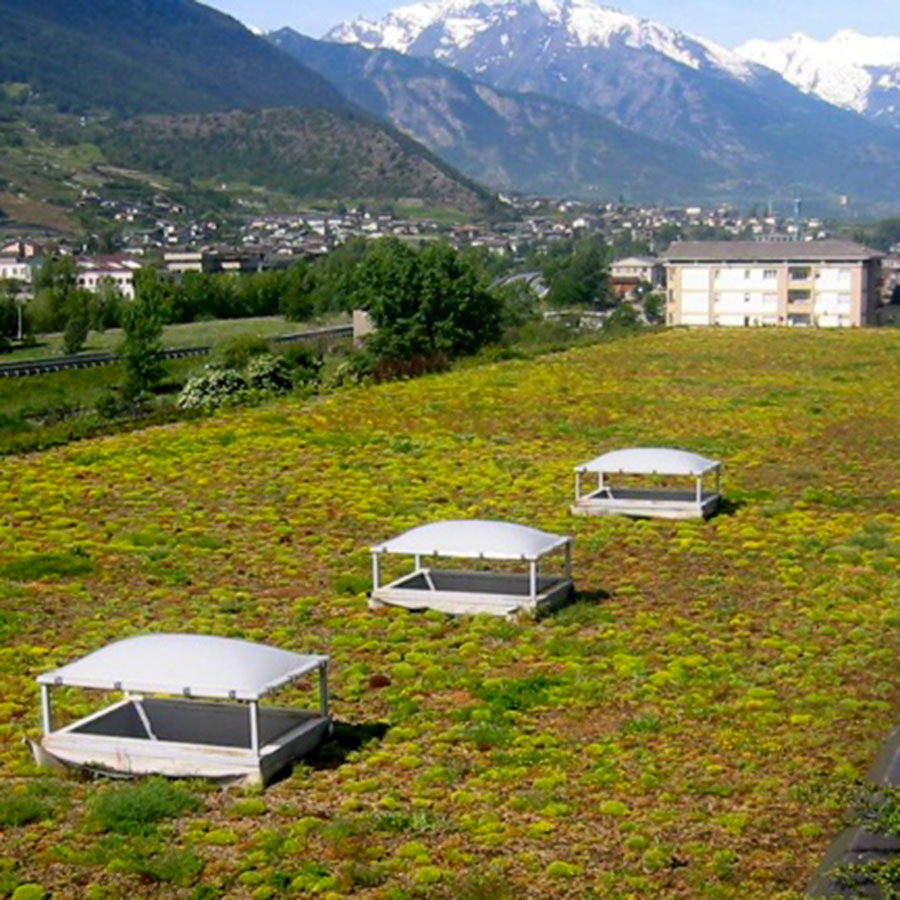 Perliroof giardini pensili tetti giardino estensivi sedum