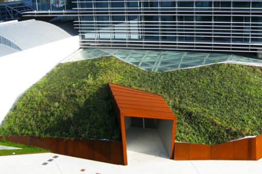 copertura verde a bassa manutenzione - vegetazione a rampicanti - centro direzionale - Milano