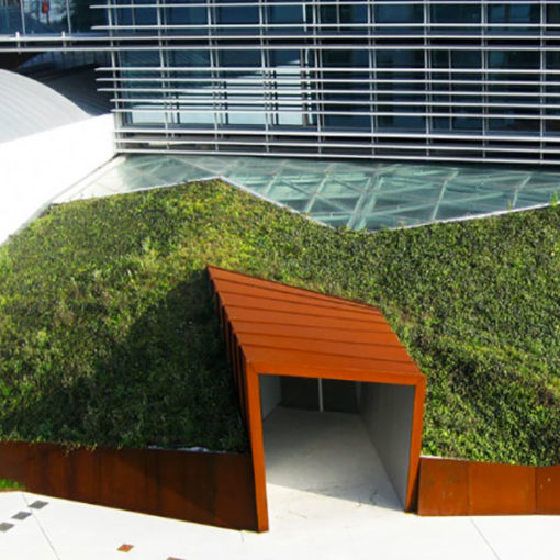 copertura verde a bassa manutenzione - vegetazione a rampicanti - centro direzionale - Milano