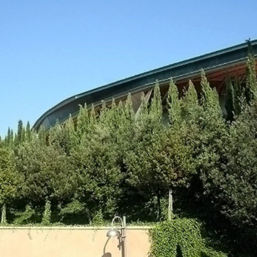 copertura verde intensivo con alberi di I grandezza - giardino inclinato presso Chiesa Padre Pio - Pietralcina