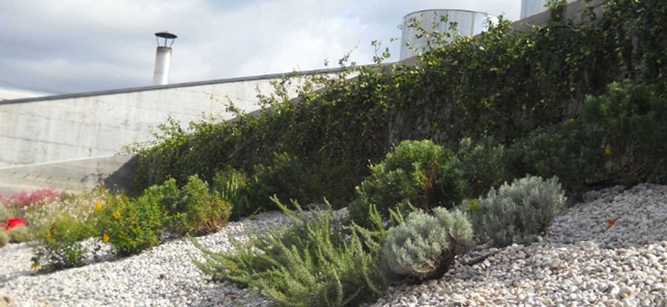 giardini pensili con erbacee perenni e tappezzanti - Ospedale Empoli