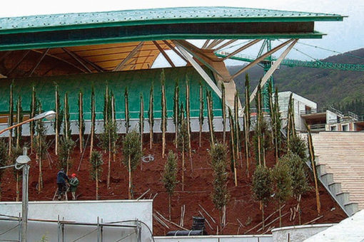 fase impianto e posa substrato di coltivazione - copertura verde intensivo con alberi di I grandezza - giardino inclinato presso Chiesa Padre Pio - Pietralcina