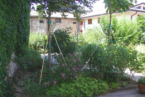 giardino pensile intensivo realizzato con sistema Perliroof - vegetazione a prato, arbusti e alberi
