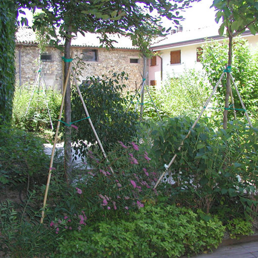 giardino pensile intensivo realizzato con sistema Perliroof - vegetazione a prato, arbusti e alberi