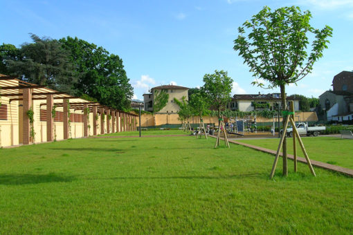 giardino pensile intensivo a prato e alberi - copertura di piazza pubblica - Lucca - sistema Perliroof