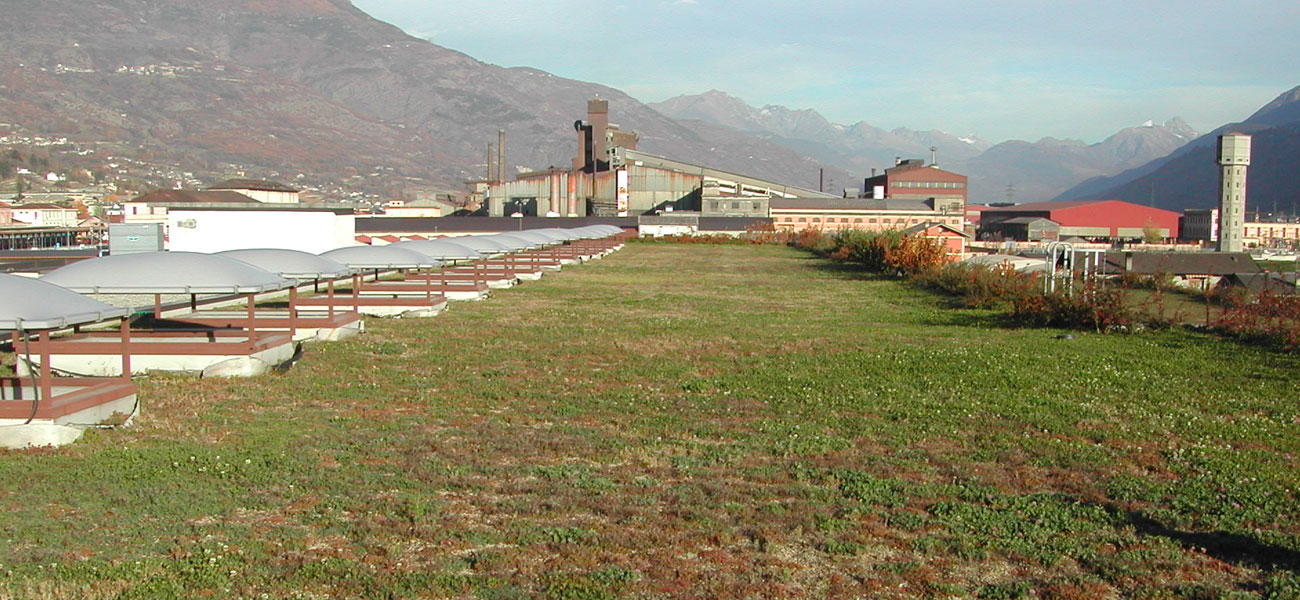 copertura a verde estensivo con vegetazione a sedum - centro commerciale - Aosta