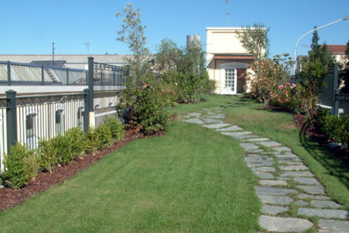 tetto giardino realizzato con sistema Perliroof intensivo a prato, arbusti e piccoli alberi - edificio a uso uffici - Legnano (MI)